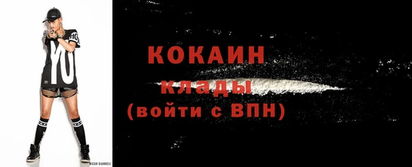 бошки Гусь-Хрустальный