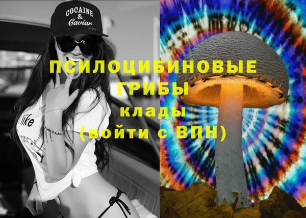 COCAINE Гусиноозёрск