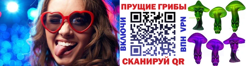 Купить  Лукоянов  Псилоцибиновые грибы GOLDEN TEACHER 